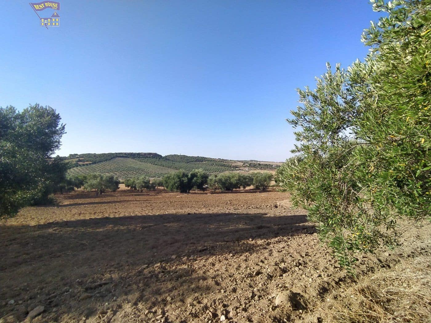 4 quarto Quinta/Casa Rural para venda em Arcos de la Frontera - 220 000 € (Ref: 3763186)