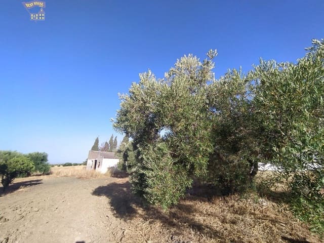 4 quarto Quinta/Casa Rural para venda em Arcos de la Frontera - 220 000 € (Ref: 3763186)