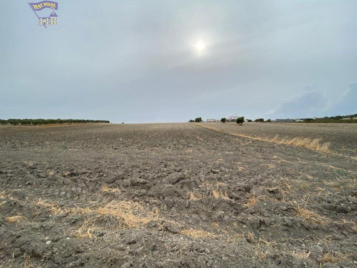 Grond te koop in Arcos de la Frontera - € 25.000 (Ref: 4406645)