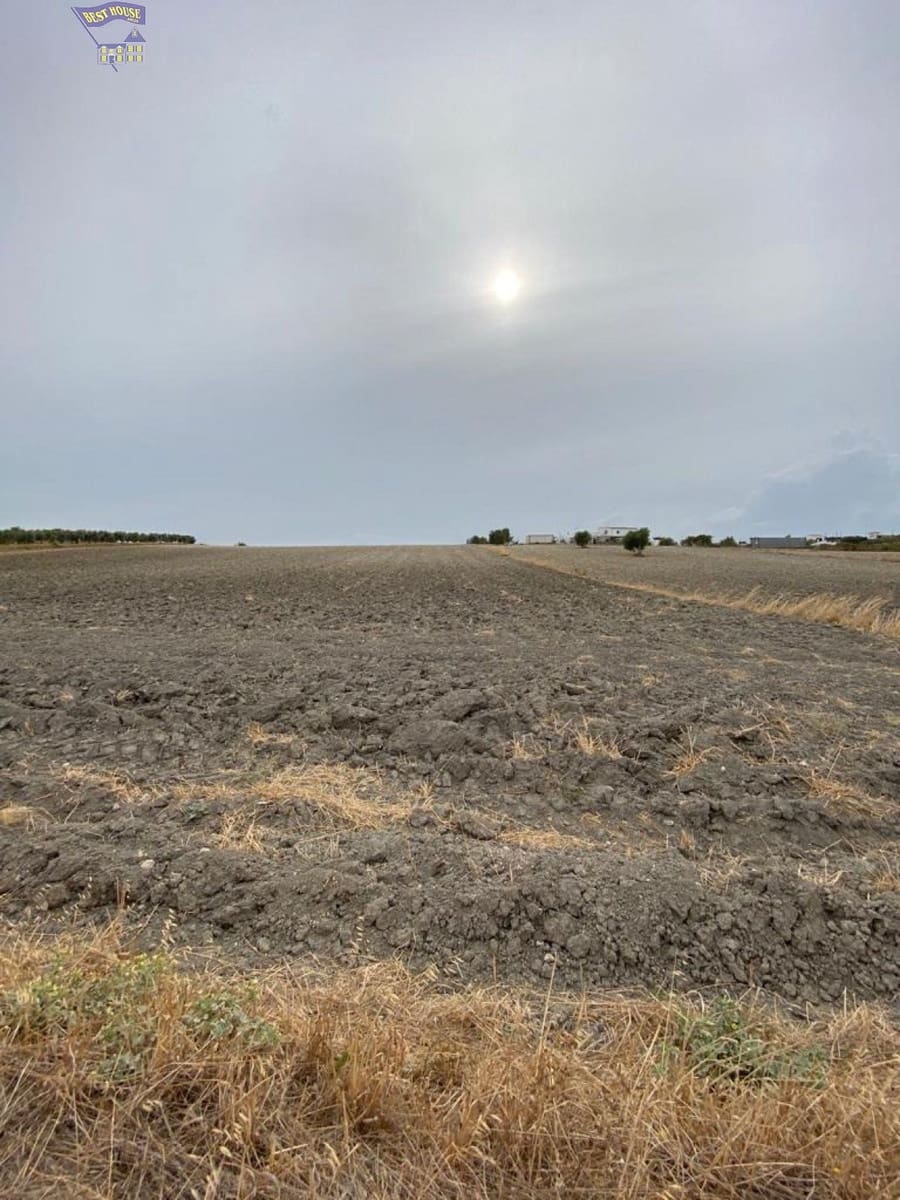 Grond te koop in Arcos de la Frontera - € 25.000 (Ref: 4406645)