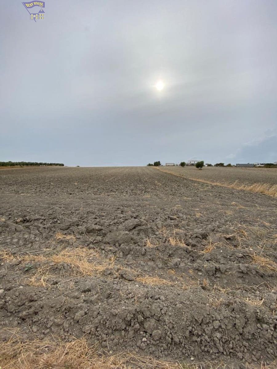 Grond te koop in Arcos de la Frontera - € 25.000 (Ref: 4406645)