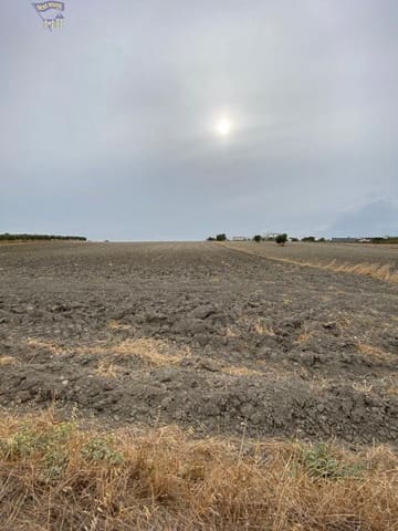 Grunde uden byggetilladelser til salg i Arcos de la Frontera - € 25.000 (Ref: 4406645)
