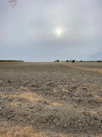 Grunde uden byggetilladelser til salg i Arcos de la Frontera - € 25.000 (Ref: 4406645)