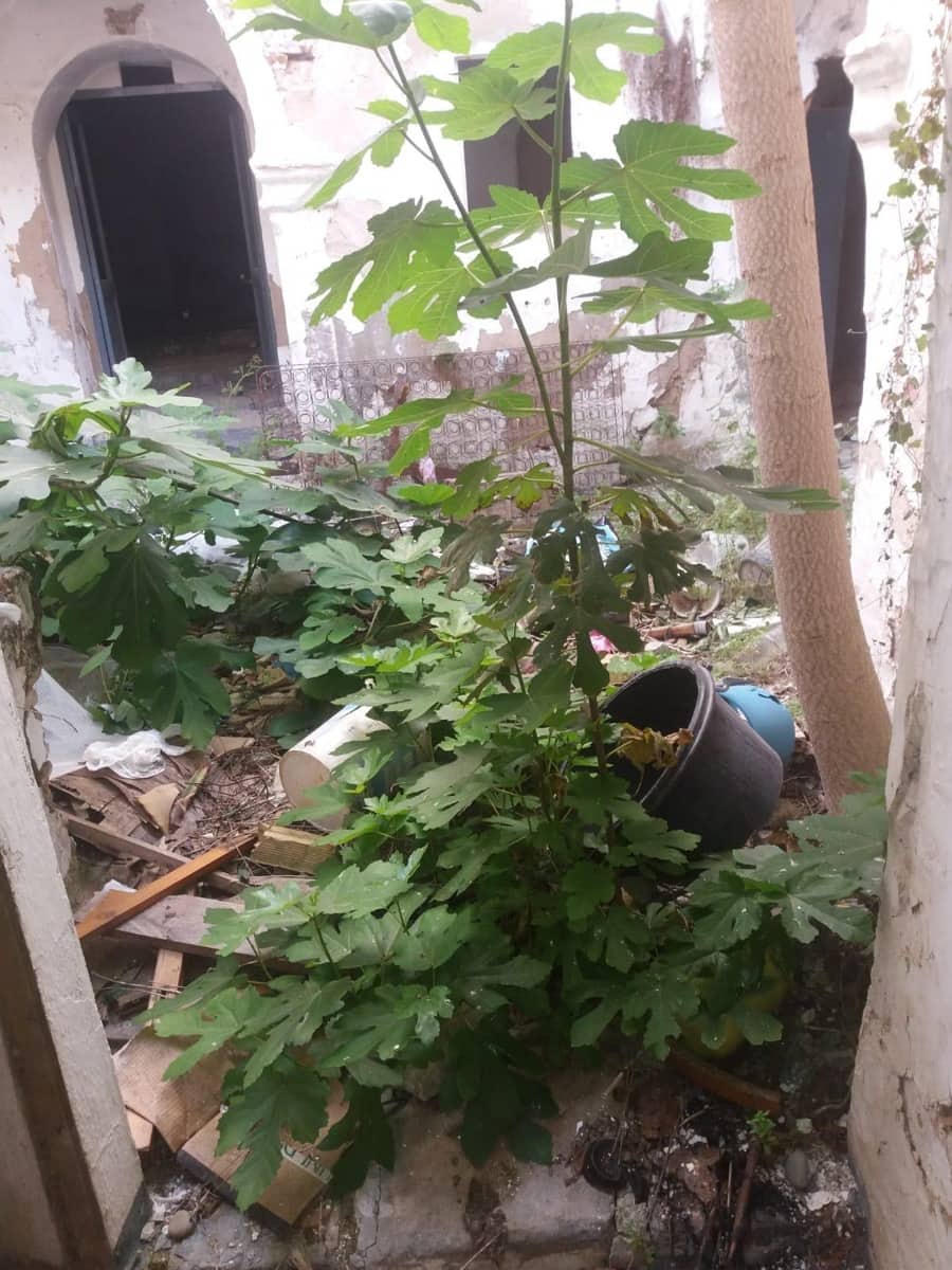 Townhouse for sale in Arcos de la Frontera - € 75,000 (Ref: 4413202)