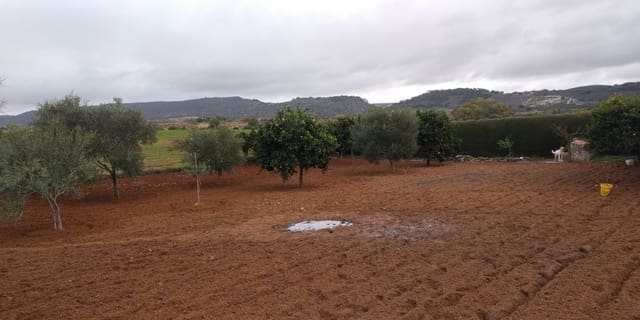 2 soverom Finca/Herregård til salgs i Arcos de la Frontera med svømmebasseng - € 225 000 (Ref: 4987654)