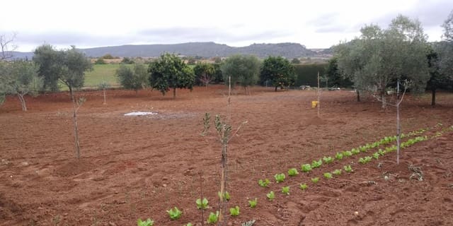 2 soverom Finca/Herregård til salgs i Arcos de la Frontera med svømmebasseng - € 225 000 (Ref: 4987654)