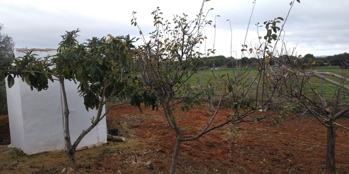 2 soverom Finca/Herregård til salgs i Arcos de la Frontera med svømmebasseng - € 225 000 (Ref: 4987654)