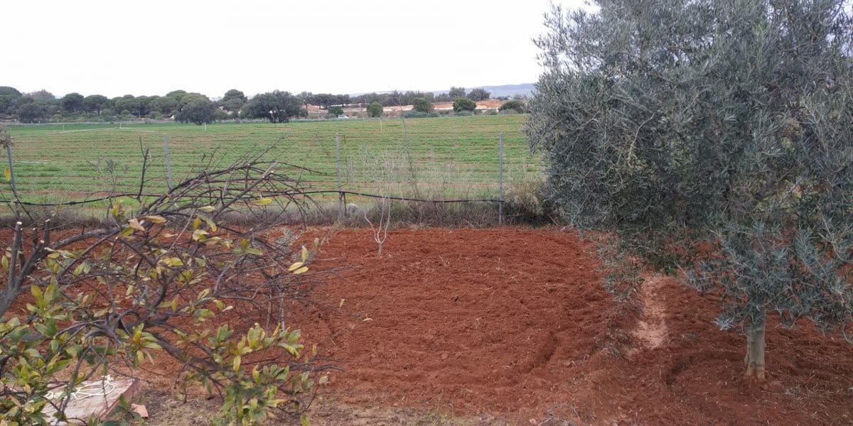 2 soverom Finca/Herregård til salgs i Arcos de la Frontera med svømmebasseng - € 225 000 (Ref: 4987654)