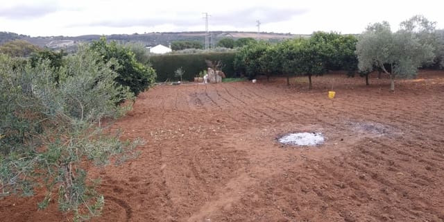 2 soverom Finca/Herregård til salgs i Arcos de la Frontera med svømmebasseng - € 225 000 (Ref: 4987654)