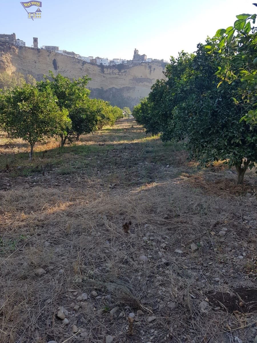 Landgrundstück zu verkaufen in Arcos de la Frontera - 124.000 € (Ref: 6194140)
