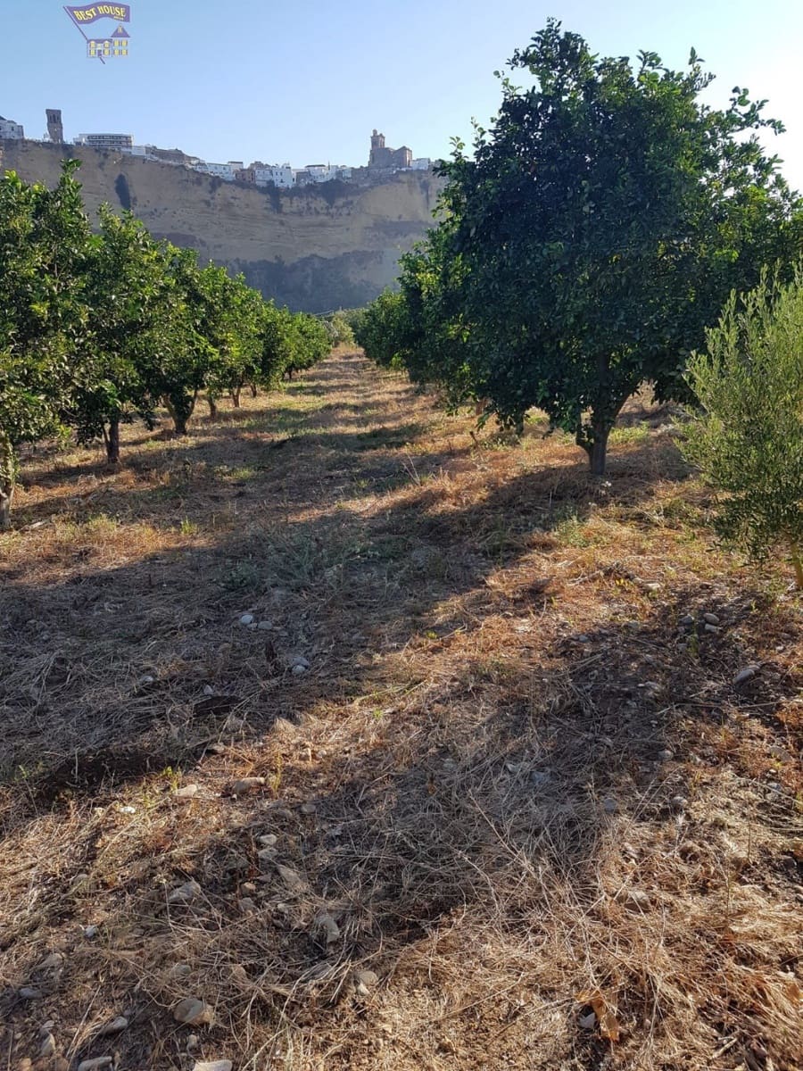 Landgrundstück zu verkaufen in Arcos de la Frontera - 124.000 € (Ref: 6194140)