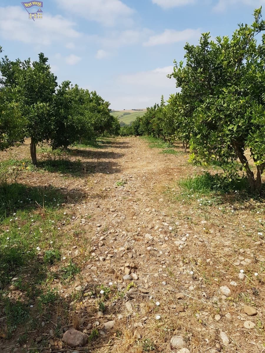 Landgrundstück zu verkaufen in Arcos de la Frontera - 124.000 € (Ref: 6194140)