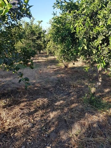 Landgrundstück zu verkaufen in Arcos de la Frontera - 124.000 € (Ref: 6194140)