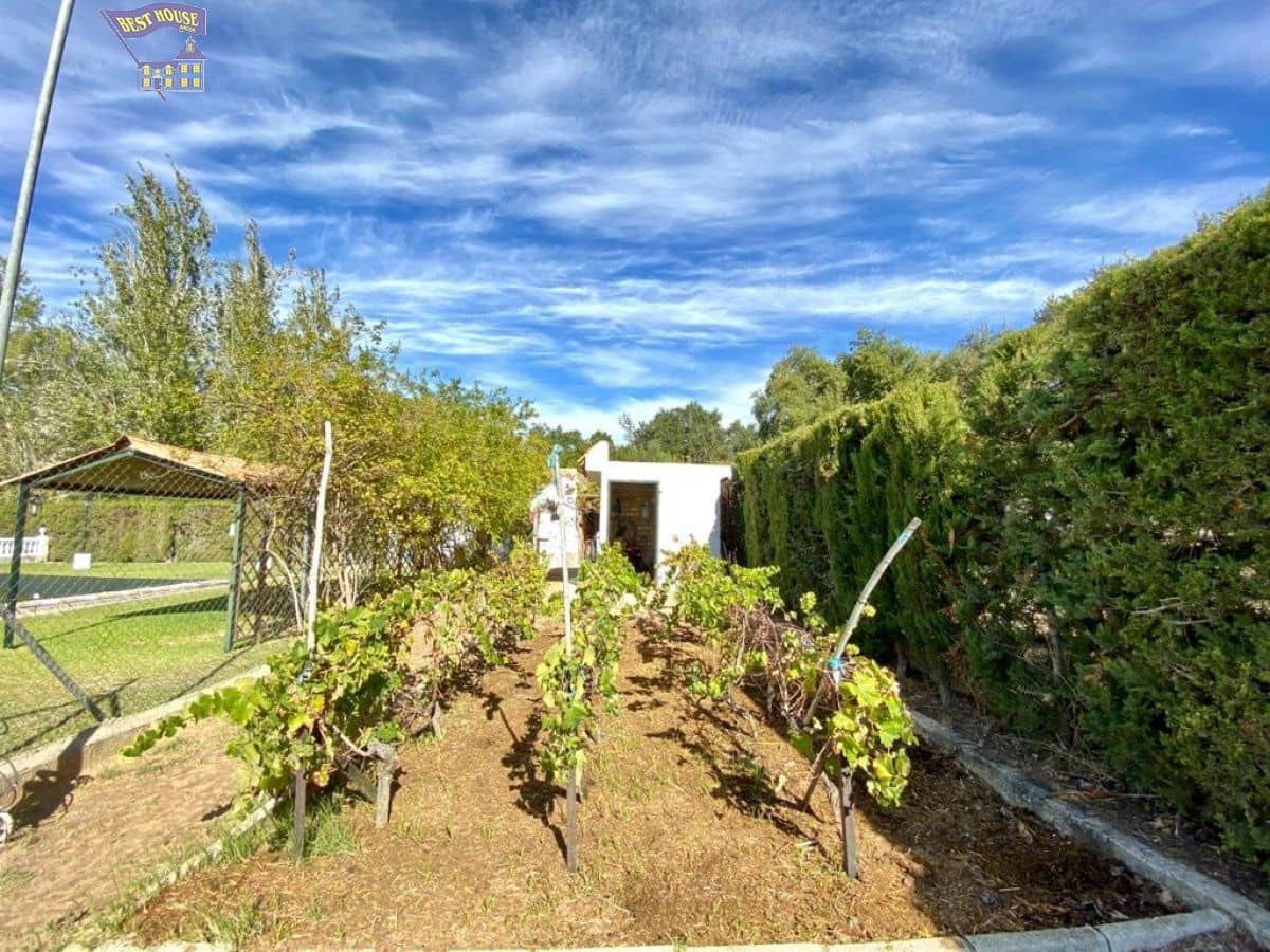 3 bedroom Finca/Country House for sale in Arcos de la Frontera with pool - € 270,000 (Ref: 6194160)