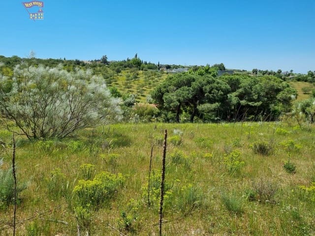 Mark till salu i Arcos de la Frontera - 48 000 € (Ref: 6845560)