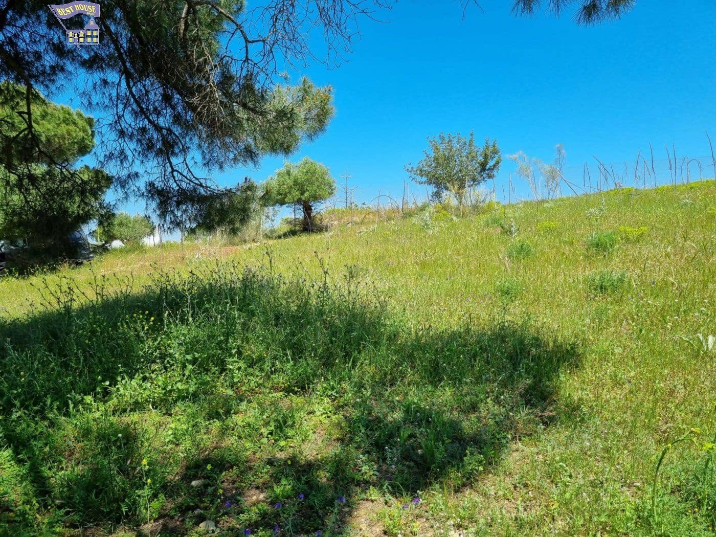 Mark till salu i Arcos de la Frontera - 48 000 € (Ref: 6845560)