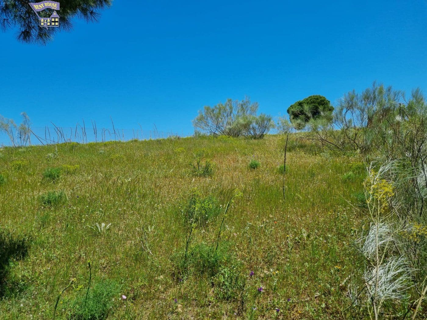 Mark till salu i Arcos de la Frontera - 48 000 € (Ref: 6845560)