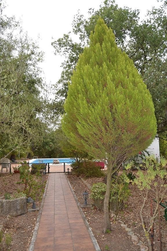 7 quarto Quinta/Casa Rural para venda em Arcos de la Frontera com piscina - 950 000 € (Ref: 7751396)