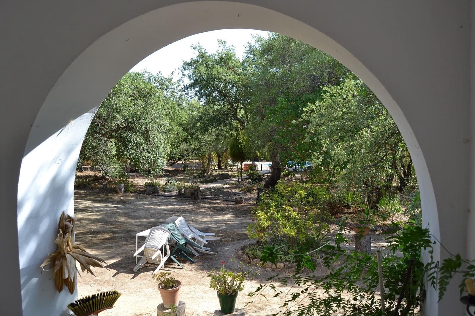 7 quarto Quinta/Casa Rural para venda em Arcos de la Frontera com piscina - 950 000 € (Ref: 7751396)