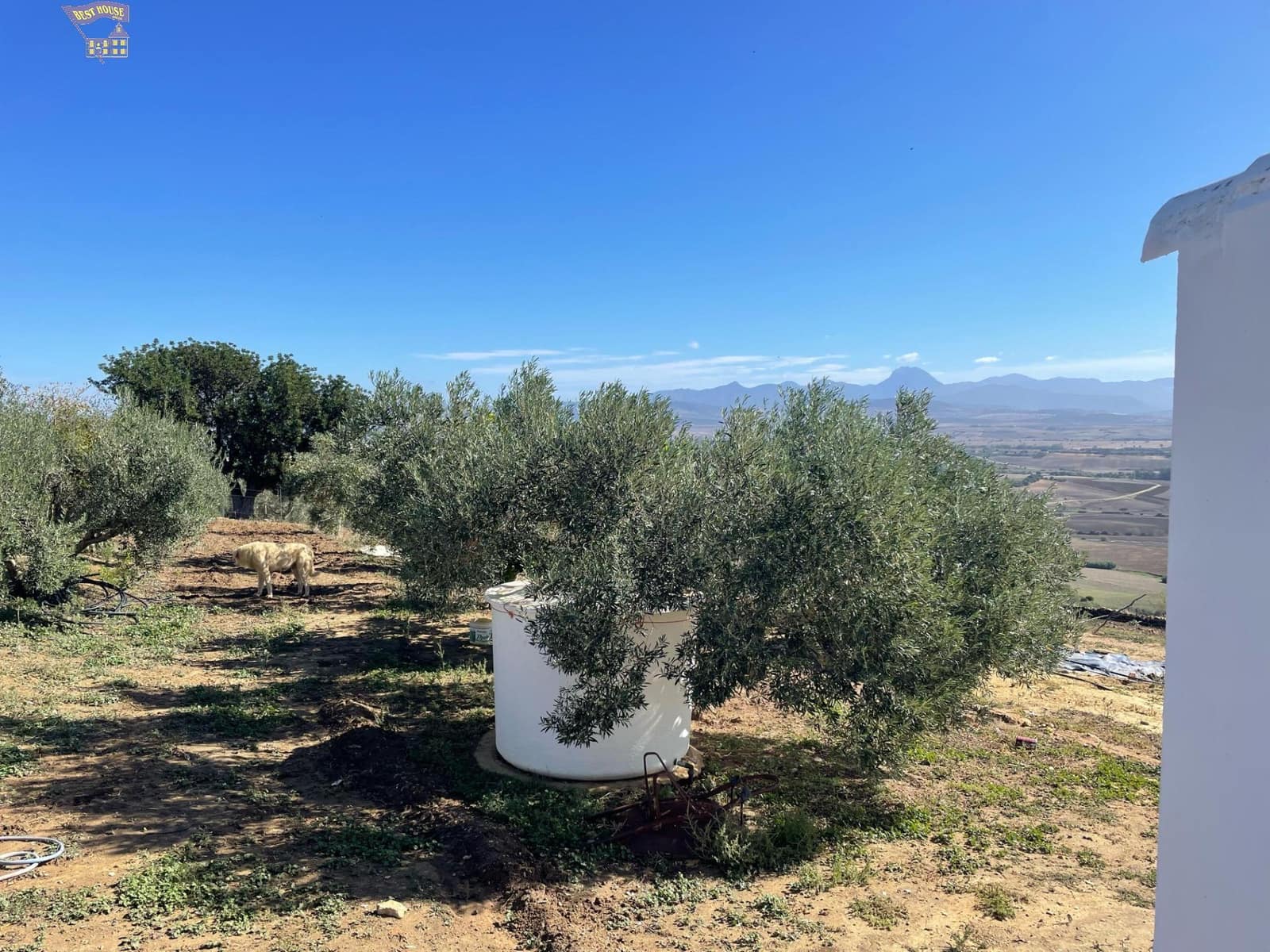 2 bedroom Finca/Country House for sale in Arcos de la Frontera - € 260,000 (Ref: 8085152)