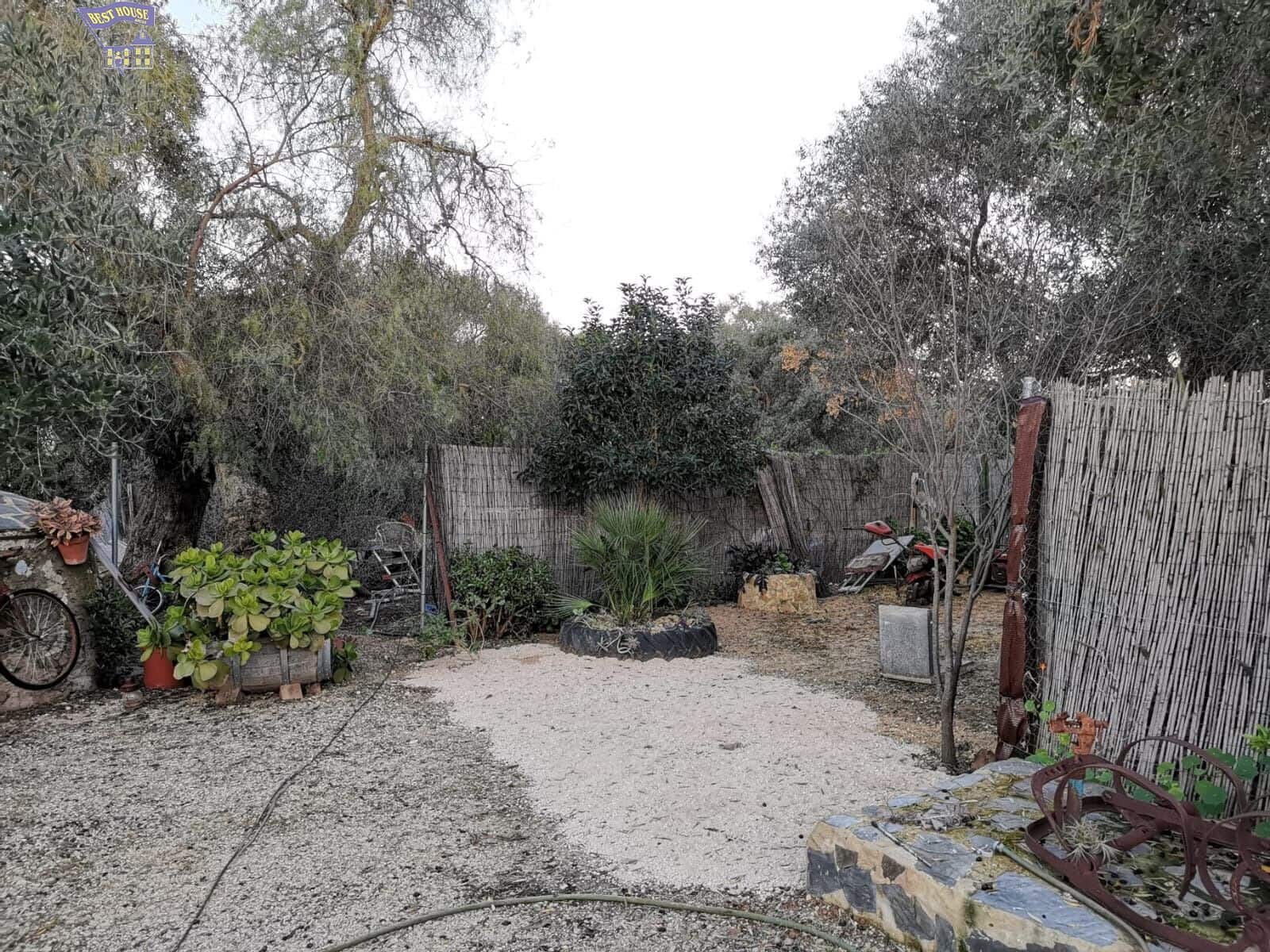 3 makuuhuone Omakotitalo vuokrattavana paikassa Arcos de la Frontera - 550 € (Ref: 8388151)