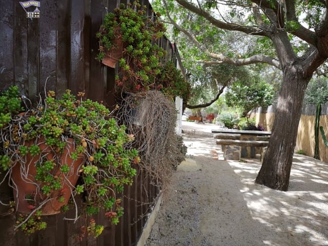 3 slaapkamer Huis te huur in Arcos de la Frontera - € 550 (Ref: 8388151)