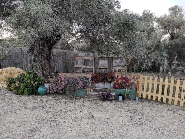 3 slaapkamer Huis te huur in Arcos de la Frontera - € 550 (Ref: 8388151)