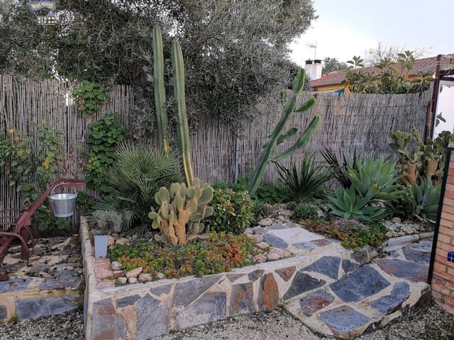 3 slaapkamer Huis te huur in Arcos de la Frontera - € 550 (Ref: 8388151)