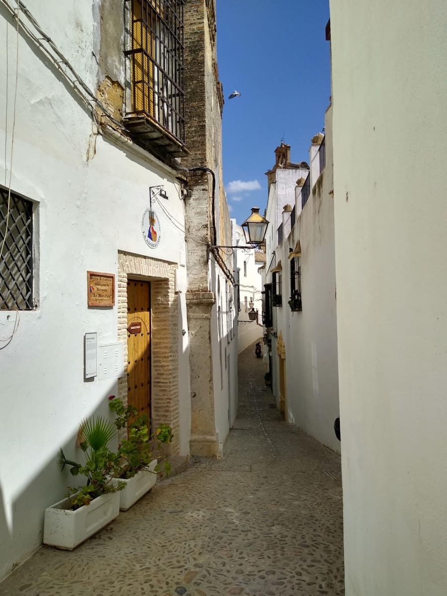 2 bedroom Townhouse for sale in Arcos de la Frontera - € 92,000 (Ref: 8737873)