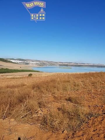 Terreno Não Urbanizado para venda em Bornos - 394 000 € (Ref: 8874711)