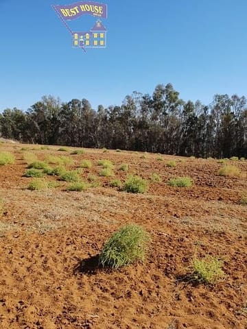 Terreno Não Urbanizado para venda em Bornos - 394 000 € (Ref: 8874711)