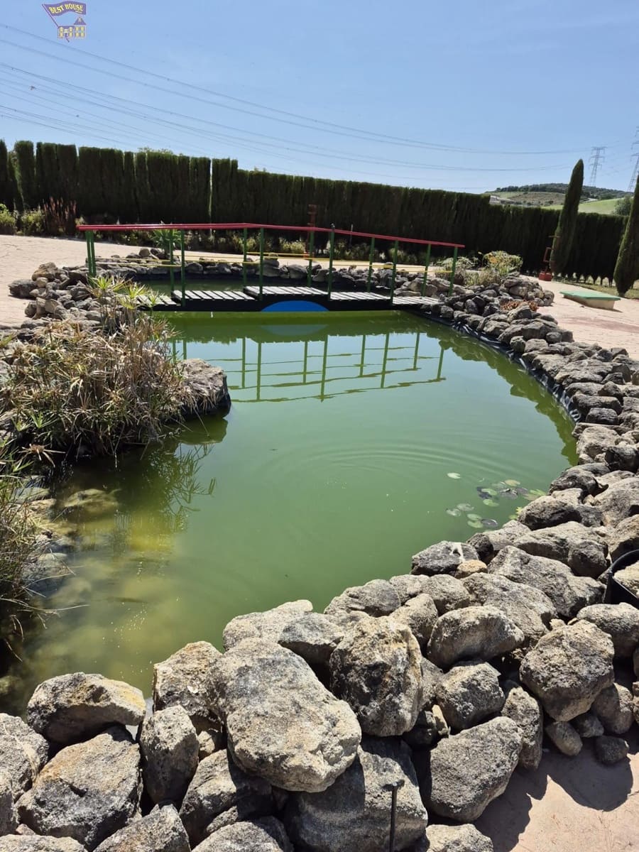 4 Zimmer Finca/Landgut zu verkaufen in Arcos de la Frontera - 600.000 € (Ref: 9035926)