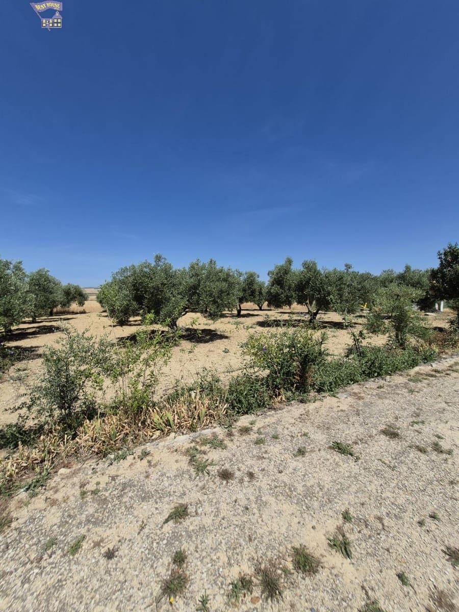 4 Zimmer Finca/Landgut zu verkaufen in Arcos de la Frontera - 600.000 € (Ref: 9035926)