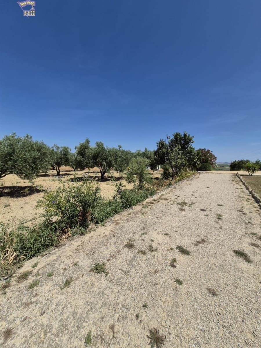 4 Zimmer Finca/Landgut zu verkaufen in Arcos de la Frontera - 600.000 € (Ref: 9035926)