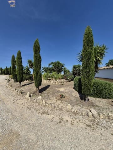 4 Zimmer Finca/Landgut zu verkaufen in Arcos de la Frontera - 600.000 € (Ref: 9035926)