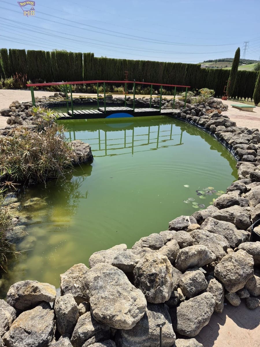 4 Zimmer Finca/Landgut zu verkaufen in Arcos de la Frontera - 600.000 € (Ref: 9035926)