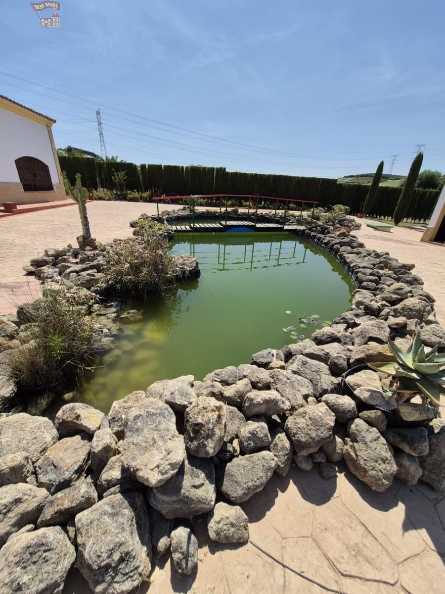 4 Zimmer Finca/Landgut zu verkaufen in Arcos de la Frontera - 600.000 € (Ref: 9035926)