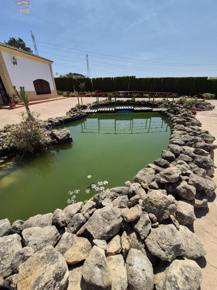 4 Zimmer Finca/Landgut zu verkaufen in Arcos de la Frontera - 600.000 € (Ref: 9035926)