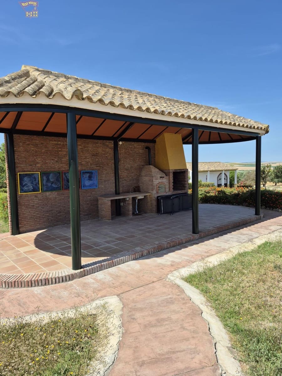 4 Zimmer Finca/Landgut zu verkaufen in Arcos de la Frontera - 600.000 € (Ref: 9035926)