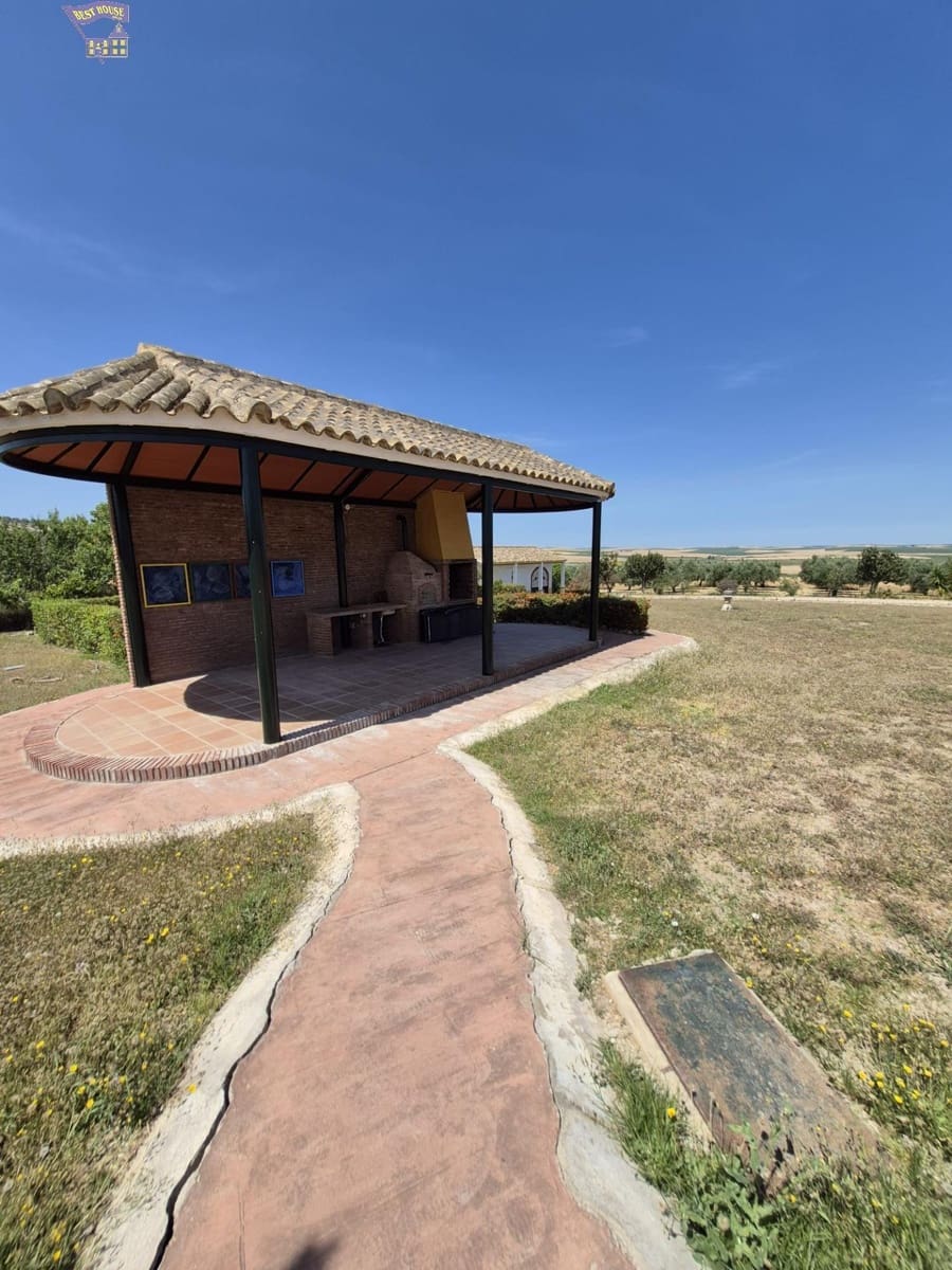 4 Zimmer Finca/Landgut zu verkaufen in Arcos de la Frontera - 600.000 € (Ref: 9035926)