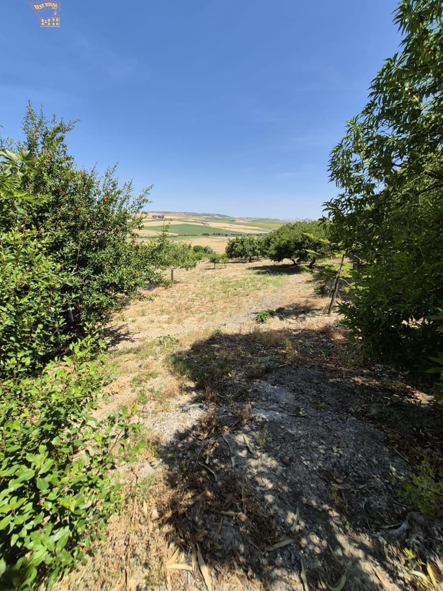 4 Zimmer Finca/Landgut zu verkaufen in Arcos de la Frontera - 600.000 € (Ref: 9035926)