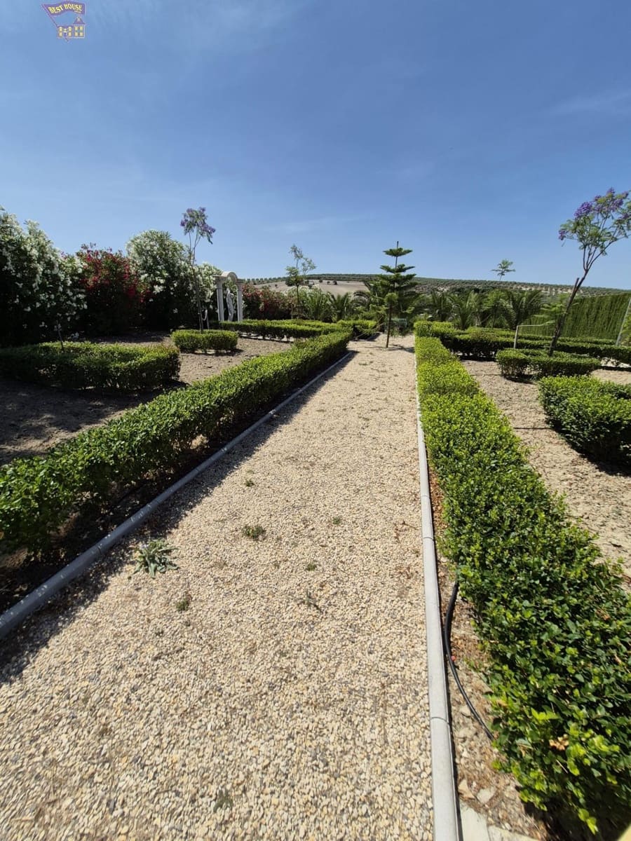 4 Zimmer Finca/Landgut zu verkaufen in Arcos de la Frontera - 600.000 € (Ref: 9035926)
