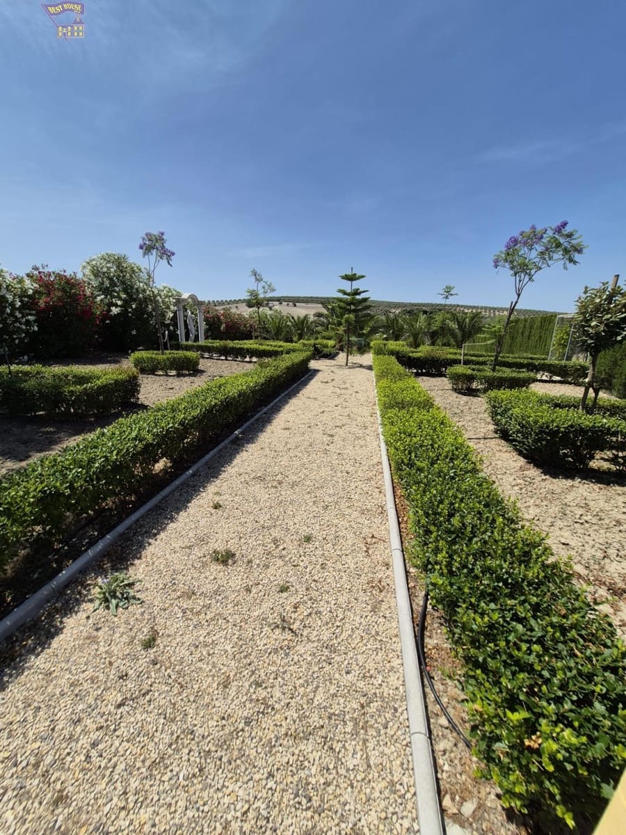 4 Zimmer Finca/Landgut zu verkaufen in Arcos de la Frontera - 600.000 € (Ref: 9035926)