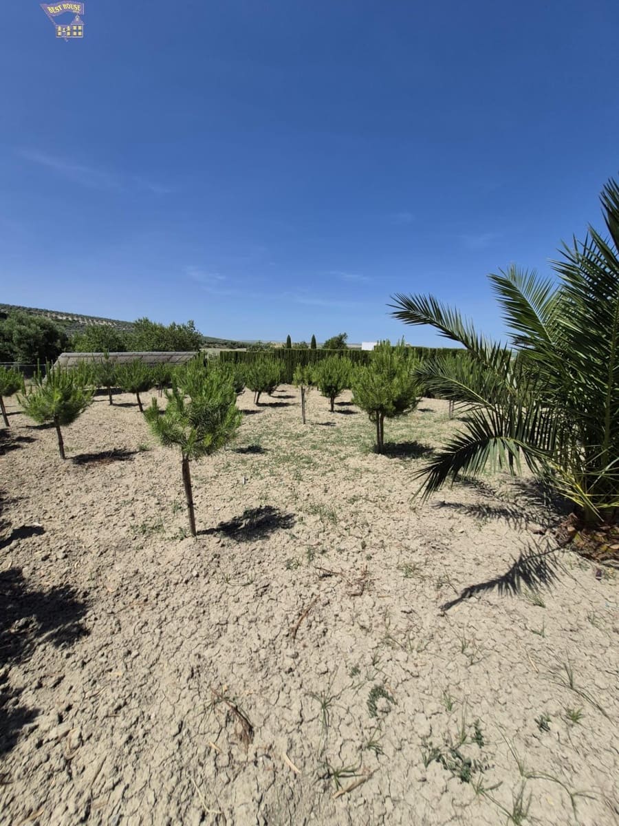 4 Zimmer Finca/Landgut zu verkaufen in Arcos de la Frontera - 600.000 € (Ref: 9035926)