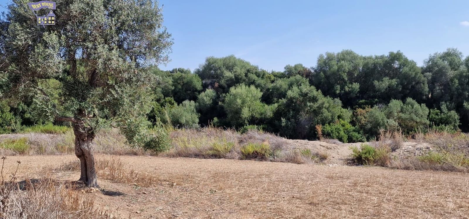 Undeveloped Land for sale in Arcos de la Frontera - € 185,000 (Ref: 9042517)