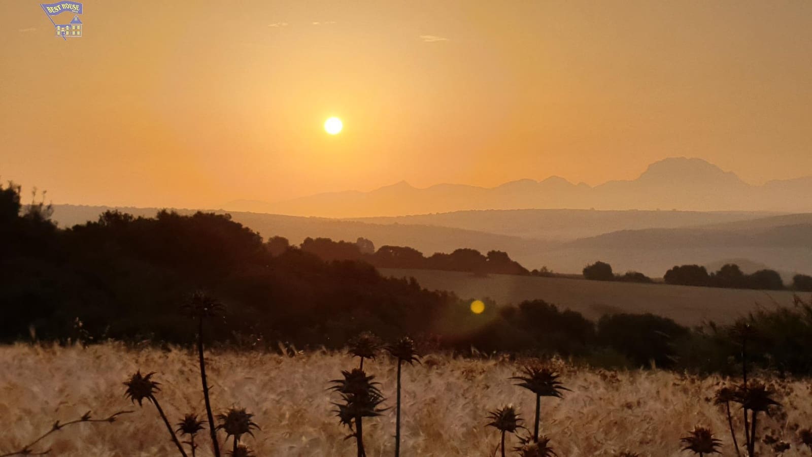 Undeveloped Land for sale in Arcos de la Frontera - € 185,000 (Ref: 9042517)