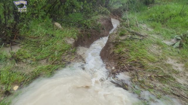 Grunde uden byggetilladelser til salg i Arcos de la Frontera - € 185.000 (Ref: 9042517)