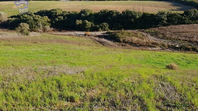 Grunde uden byggetilladelser til salg i Arcos de la Frontera - € 185.000 (Ref: 9042517)