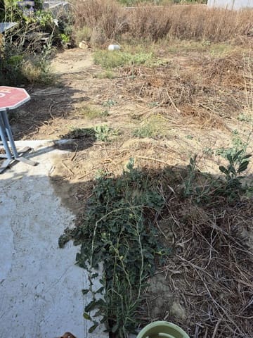 Finca/Country House for sale in Arcos de la Frontera - € 55,000 (Ref: 9114307)