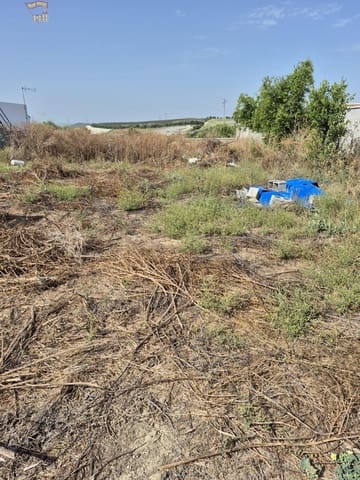 Finca/Country House for sale in Arcos de la Frontera - € 55,000 (Ref: 9114307)